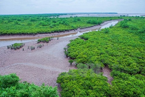 Gắn tăng trưởng xanh vào kế hoạch phát triển kinh tế của địa phương - ảnh 2